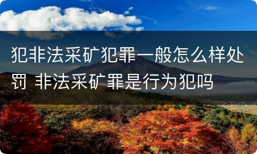犯非法采矿犯罪一般怎么样处罚 非法采矿罪是行为犯吗