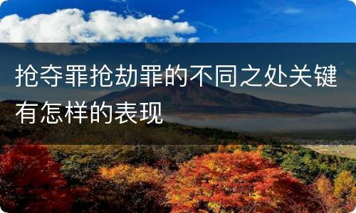 抢夺罪抢劫罪的不同之处关键有怎样的表现