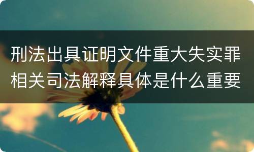 刑法出具证明文件重大失实罪相关司法解释具体是什么重要规定