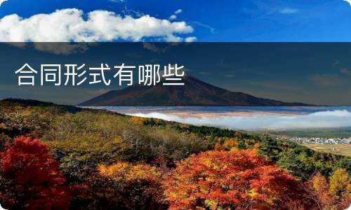 合同形式有哪些