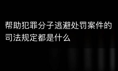 帮助犯罪分子逃避处罚案件的司法规定都是什么