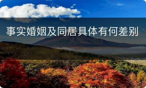 事实婚姻及同居具体有何差别
