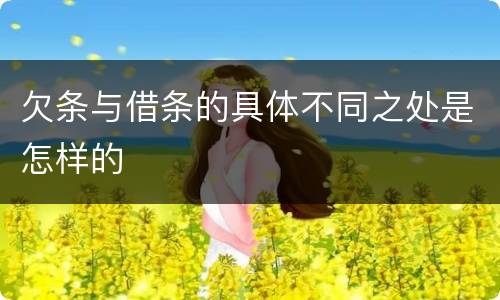 欠条与借条的具体不同之处是怎样的