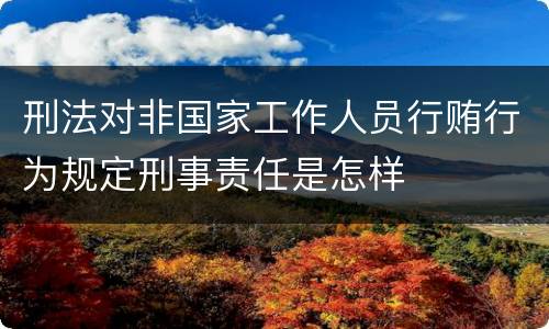 刑法对非国家工作人员行贿行为规定刑事责任是怎样