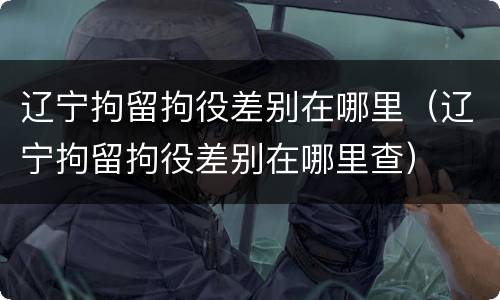 辽宁拘留拘役差别在哪里（辽宁拘留拘役差别在哪里查）