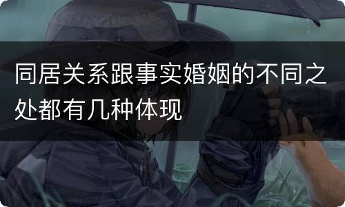 同居关系跟事实婚姻的不同之处都有几种体现