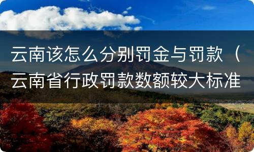 云南该怎么分别罚金与罚款（云南省行政罚款数额较大标准）