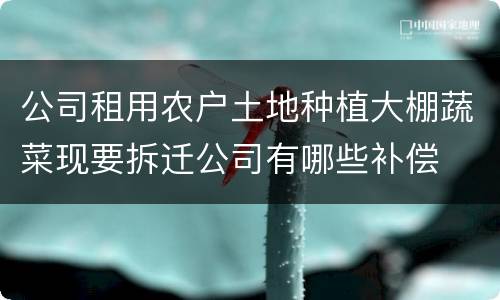 公司租用农户土地种植大棚蔬菜现要拆迁公司有哪些补偿