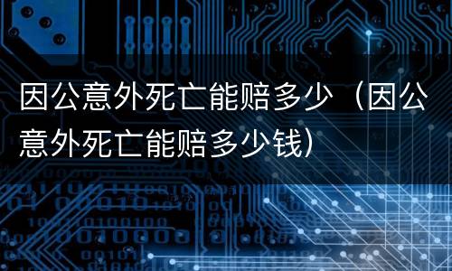 因公意外死亡能赔多少（因公意外死亡能赔多少钱）