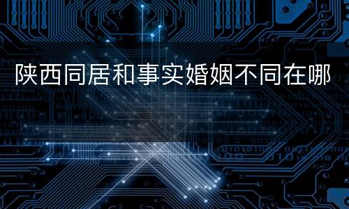 陕西同居和事实婚姻不同在哪