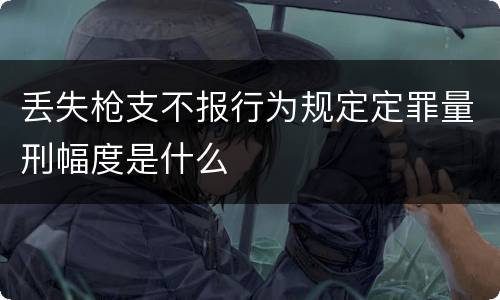 丢失枪支不报行为规定定罪量刑幅度是什么