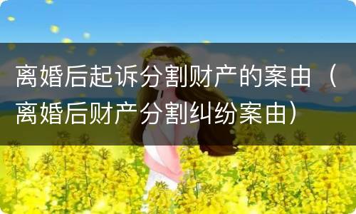 离婚后起诉分割财产的案由（离婚后财产分割纠纷案由）