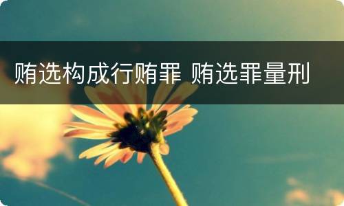 贿选构成行贿罪 贿选罪量刑