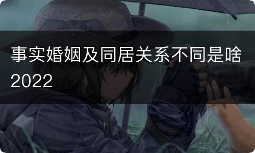 事实婚姻及同居关系不同是啥2022