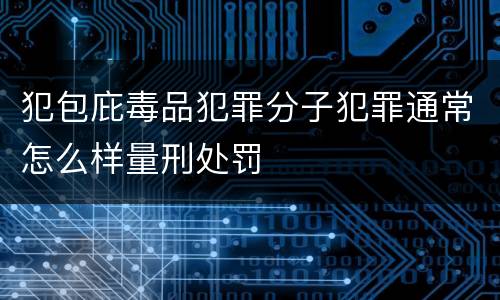 犯包庇毒品犯罪分子犯罪通常怎么样量刑处罚