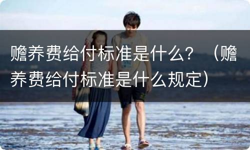 赡养费给付标准是什么？（赡养费给付标准是什么规定）