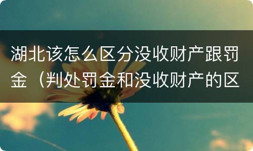 湖北该怎么区分没收财产跟罚金（判处罚金和没收财产的区别）