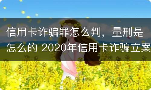 信用卡诈骗罪怎么判，量刑是怎么的 2020年信用卡诈骗立案标准