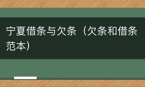 宁夏借条与欠条（欠条和借条范本）