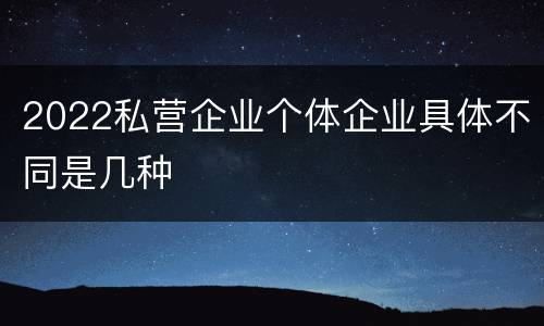 2022私营企业个体企业具体不同是几种
