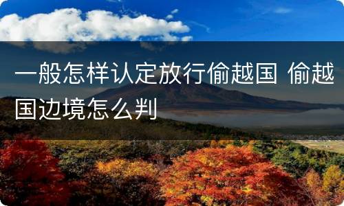一般怎样认定放行偷越国 偷越国边境怎么判