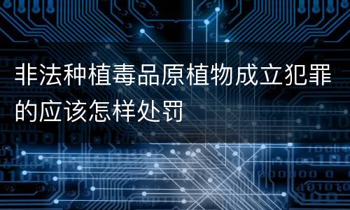 非法种植毒品原植物成立犯罪的应该怎样处罚