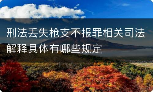 刑法丢失枪支不报罪相关司法解释具体有哪些规定