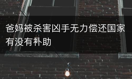 爸妈被杀害凶手无力偿还国家有没有补助