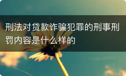 刑法对贷款诈骗犯罪的刑事刑罚内容是什么样的