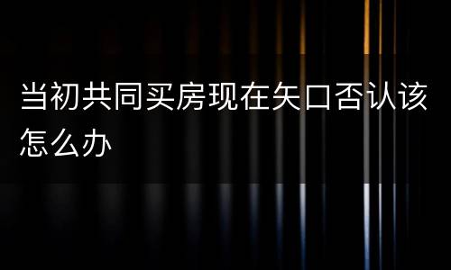 当初共同买房现在矢口否认该怎么办