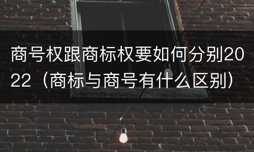 商号权跟商标权要如何分别2022（商标与商号有什么区别）
