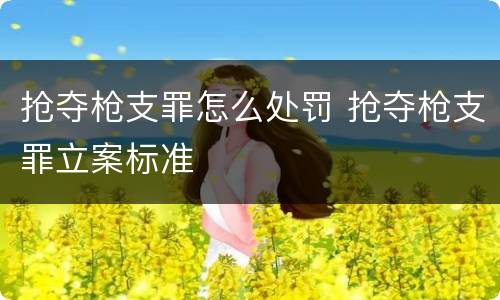 抢夺枪支罪怎么处罚 抢夺枪支罪立案标准