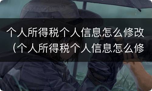 个人所得税个人信息怎么修改（个人所得税个人信息怎么修改申请）