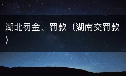 湖北罚金、罚款（湖南交罚款）