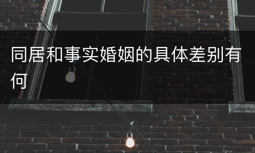 同居和事实婚姻的具体差别有何