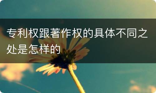 专利权跟著作权的具体不同之处是怎样的