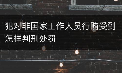 犯对非国家工作人员行贿受到怎样判刑处罚