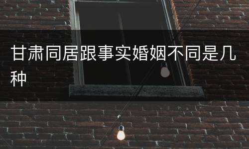 甘肃同居跟事实婚姻不同是几种
