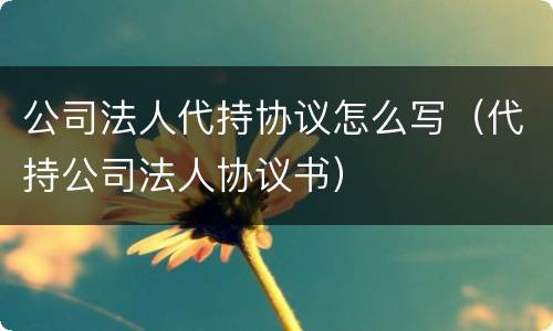 公司法人代持协议怎么写（代持公司法人协议书）