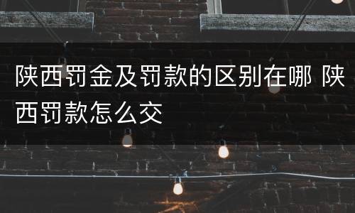 陕西罚金及罚款的区别在哪 陕西罚款怎么交