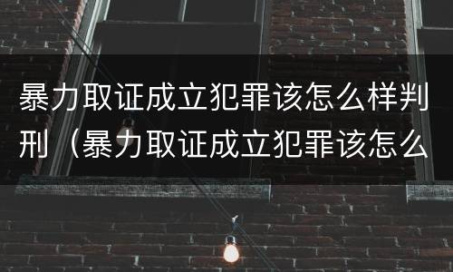 暴力取证成立犯罪该怎么样判刑（暴力取证成立犯罪该怎么样判刑呢）
