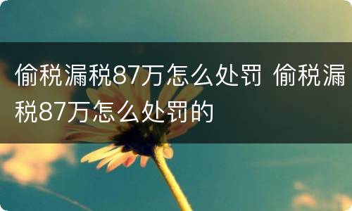 偷税漏税87万怎么处罚 偷税漏税87万怎么处罚的