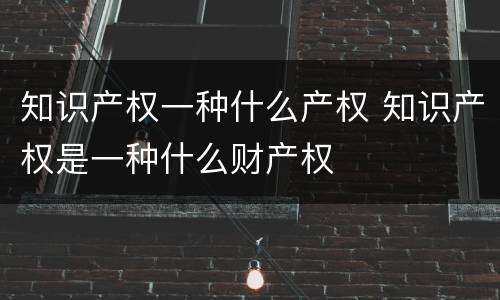 知识产权一种什么产权 知识产权是一种什么财产权