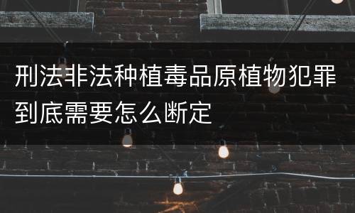 刑法非法种植毒品原植物犯罪到底需要怎么断定