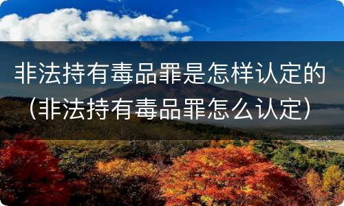 非法持有毒品罪是怎样认定的（非法持有毒品罪怎么认定）