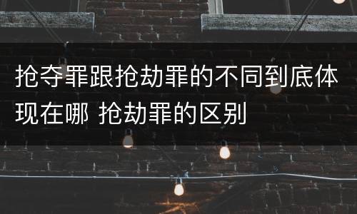 抢夺罪跟抢劫罪的不同到底体现在哪 抢劫罪的区别