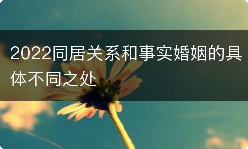 2022同居关系和事实婚姻的具体不同之处