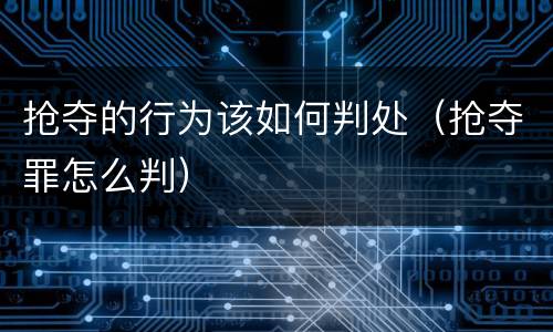 抢夺的行为该如何判处（抢夺罪怎么判）
