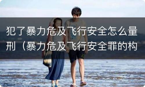 犯了暴力危及飞行安全怎么量刑（暴力危及飞行安全罪的构成要件）