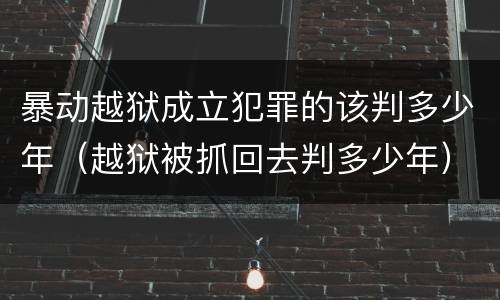 暴动越狱成立犯罪的该判多少年（越狱被抓回去判多少年）